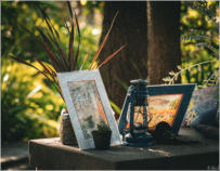 BigtreeBB - Dining, Flowers, Garden Wedding, Lapa