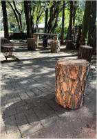 BigtreeBB - Dining, Flowers, Garden Wedding, Lapa