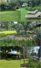 BigtreeBB - Dining, Flowers, Garden Wedding, Lapa