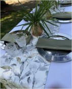 BigtreeBB - Dining, Flowers, Garden Wedding, Kuierplek Lapa