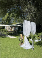 BigtreeBB - Dining, Flowers, Garden Wedding, Kuierplek Lapa
