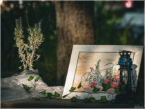 BigtreeBB - Dining, Flowers, Garden Wedding, Kuierplek Lapa