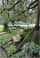 BigtreeBB - Dining, Flowers, Garden Wedding, Kuierplek Lapa