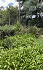 BigtreeBB - Dining, Flowers, Garden Wedding, Kuierplek Lapa