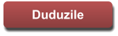 Duduzile Duduzile