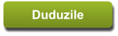 Duduzile Duduzile