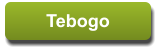 Tebogo Tebogo
