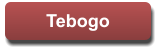 Tebogo Tebogo