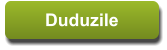 Duduzile Duduzile