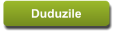 Duduzile Duduzile