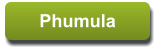 Phumula Phumula