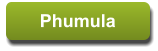 Phumula Phumula