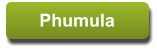 Phumula Phumula