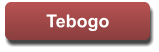 Tebogo Tebogo