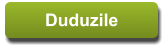 Duduzile Duduzile